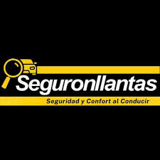 SEGURONLLANTAS